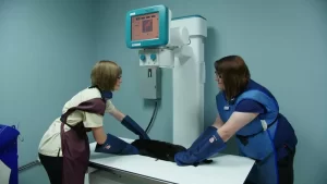 digital radiography for pets