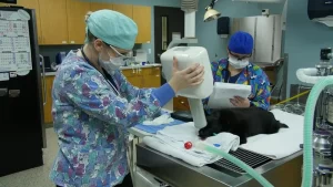 dental radiology in joplin mo
