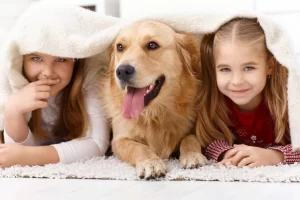 Financial Assistance veterinary services