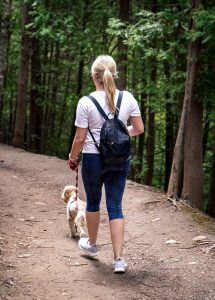 Lyme Disease A Concern for Your Dog